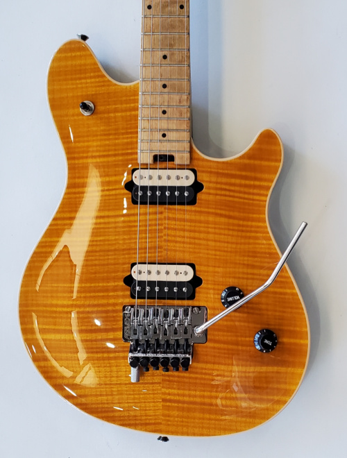 1999 Peavey EVH Wolfgang Standard Deluxe