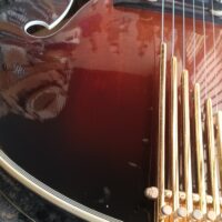 1979 Gibson Super V - Image 13