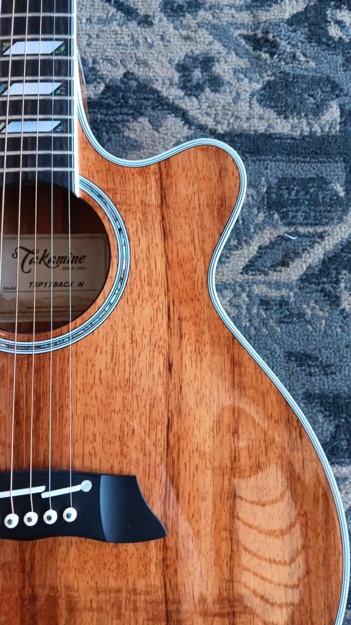 2015 Takamine TSP178ACKN - Image 7