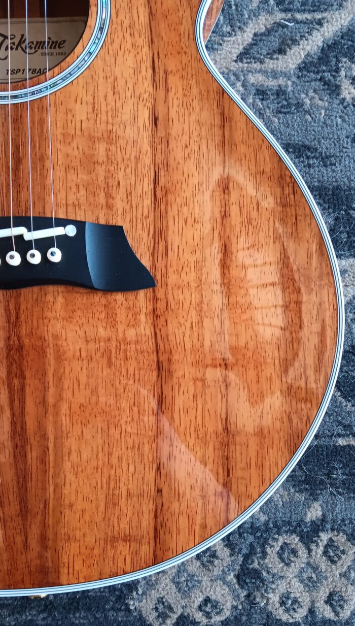 2015 Takamine TSP178ACKN - Image 8