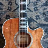 2015 Takamine TSP178ACKN - Image 11