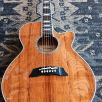 2015 Takamine TSP178ACKN - Image 15
