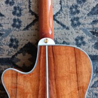 2015 Takamine TSP178ACKN - Image 23