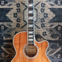 2015 Takamine TSP178ACKN