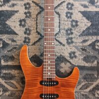 Peavey USA LTD ST