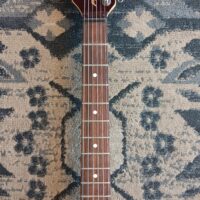 Peavey USA LTD ST - Image 9