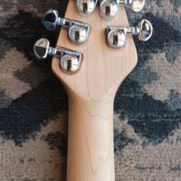 Peavey USA LTD ST - Image 17