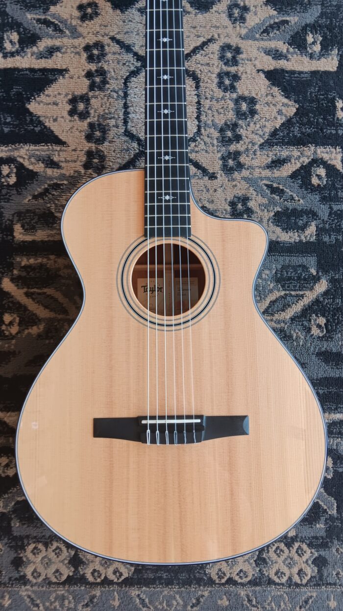 2022 Taylor 312ce-N - Image 7