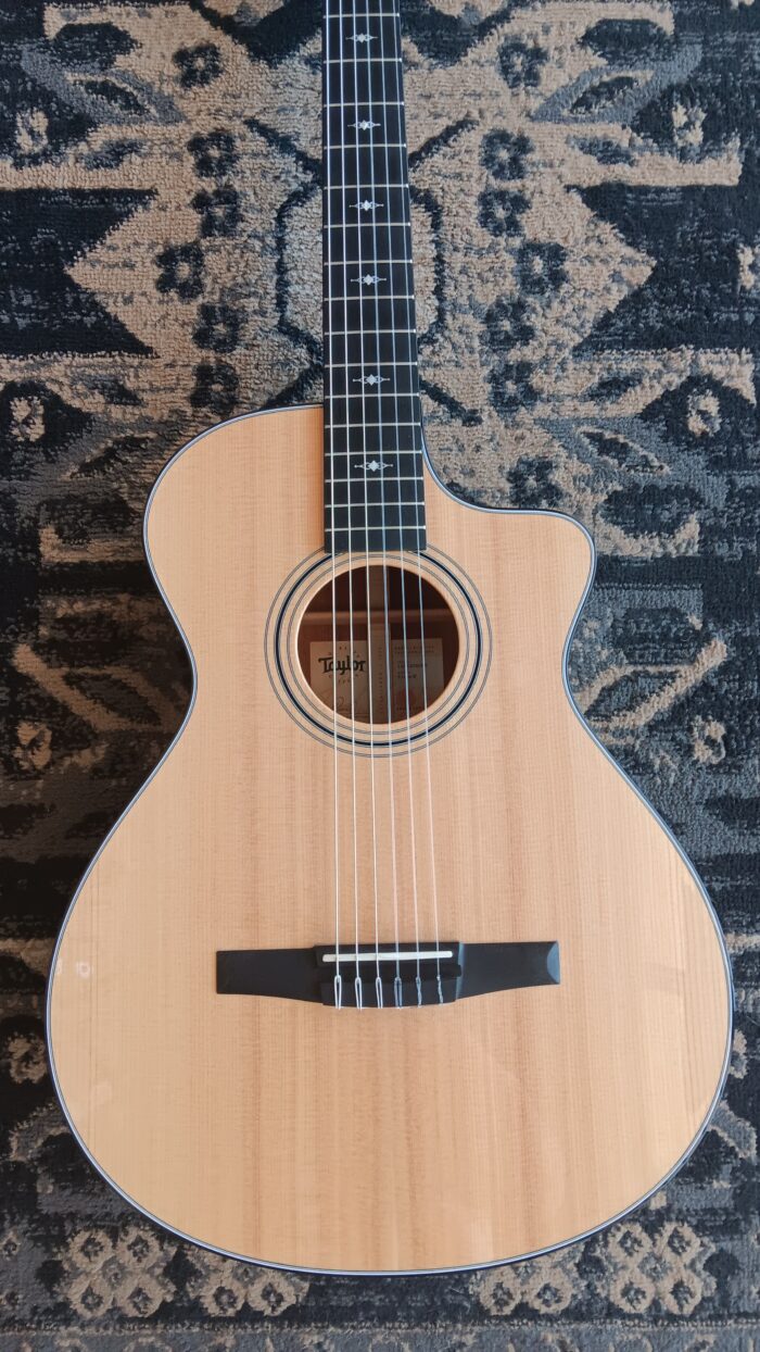 2022 Taylor 312ce-N - Image 6