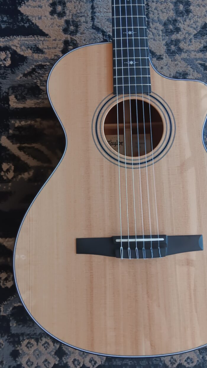 2022 Taylor 312ce-N - Image 8