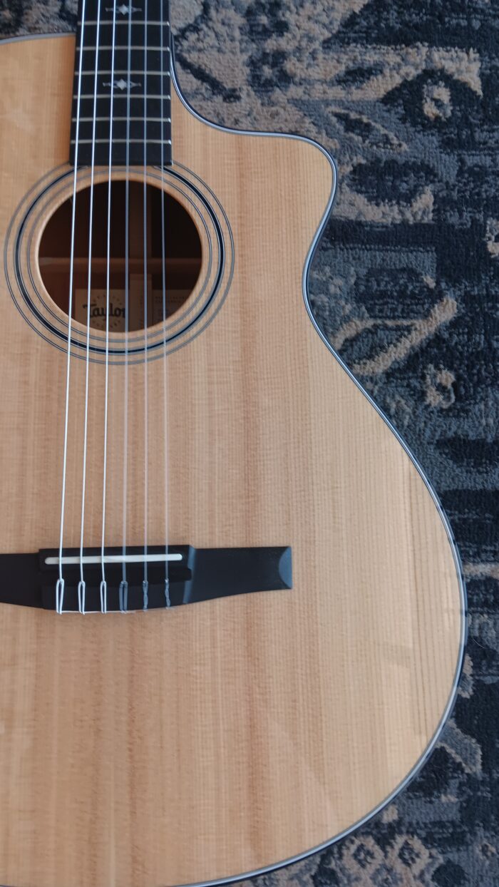 2022 Taylor 312ce-N - Image 9