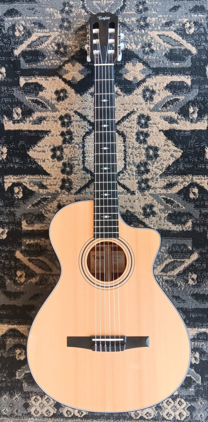 2022 Taylor 312ce-N