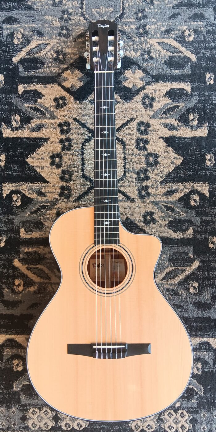 2022 Taylor 312ce-N - Image 5