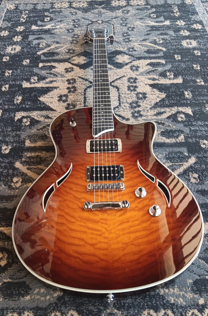 2009 Taylor T3 - Image 4
