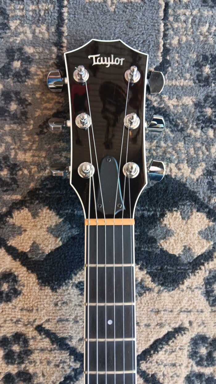 2009 Taylor T3 - Image 13