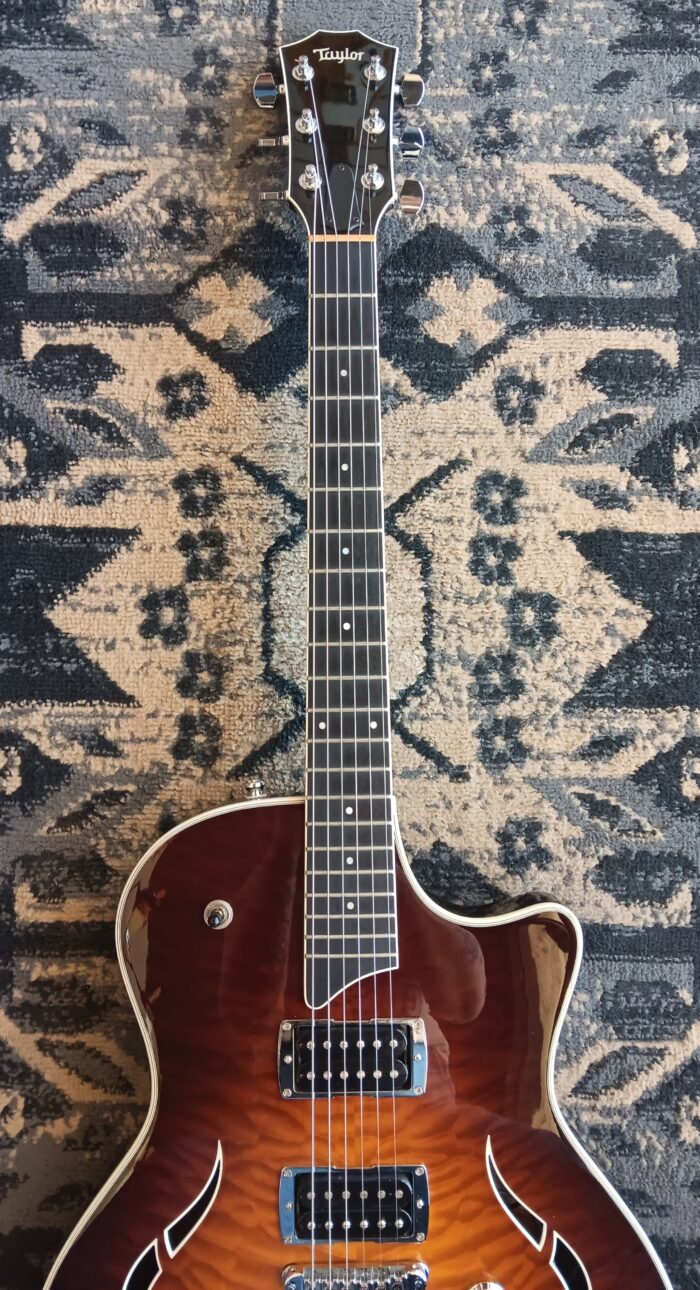 2009 Taylor T3 - Image 12