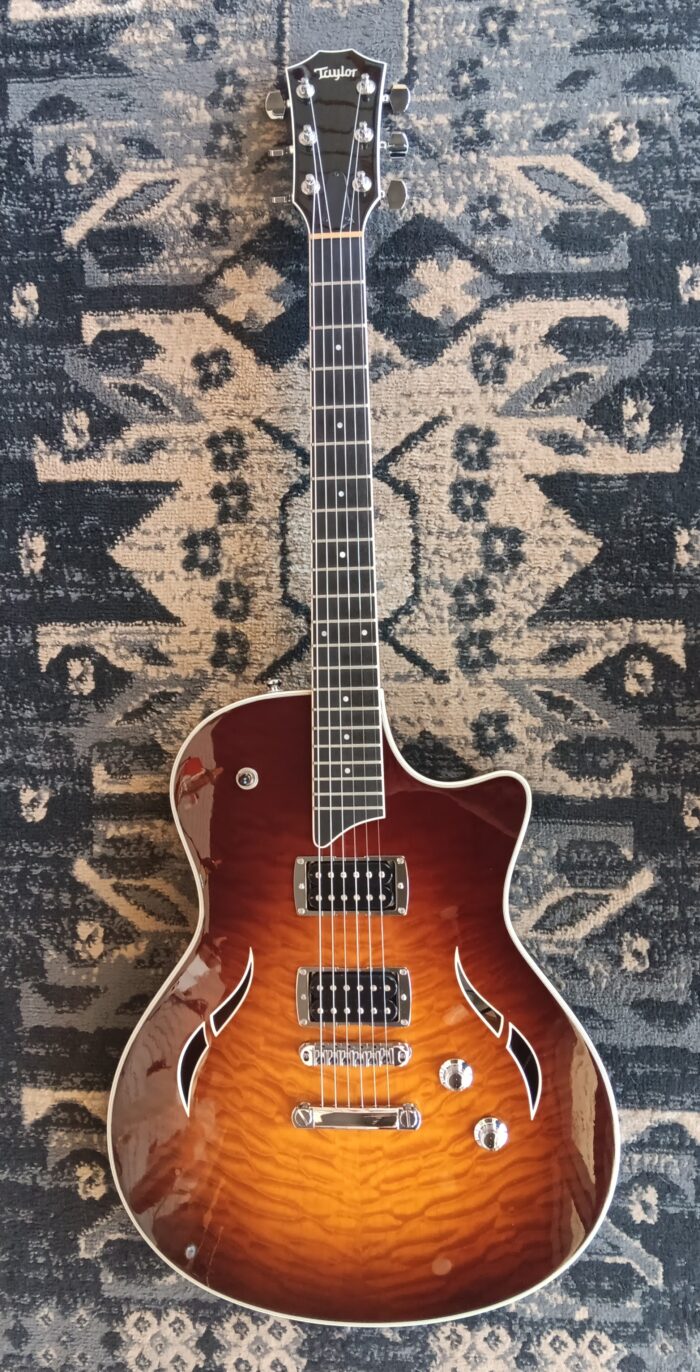 2009 Taylor T3 - Image 2