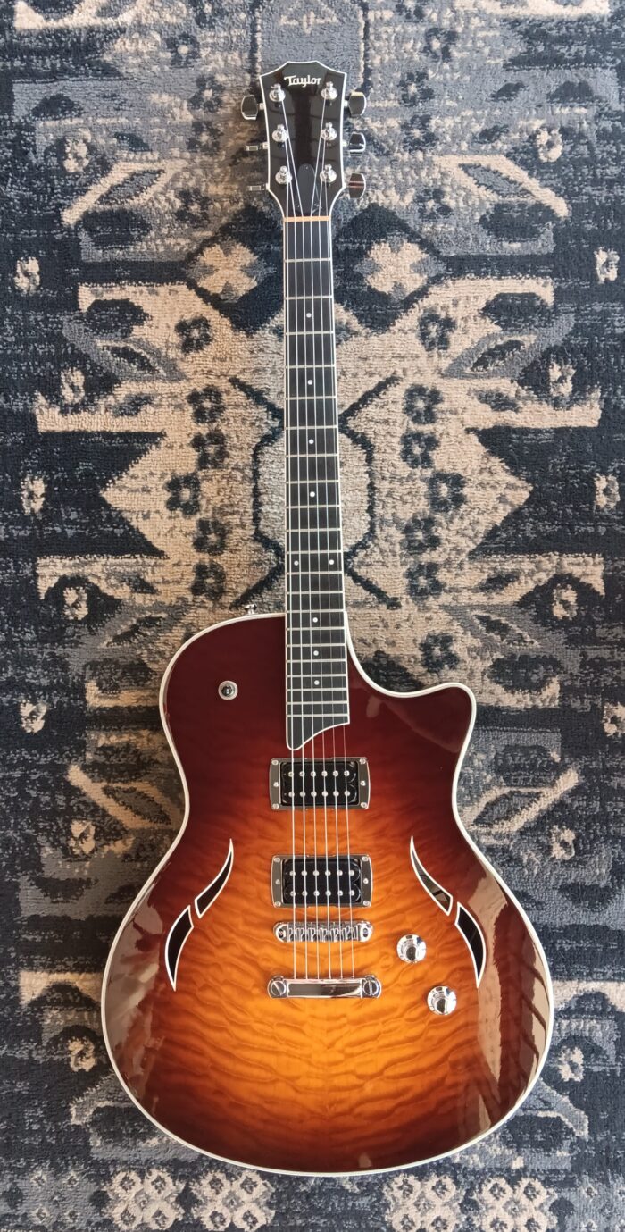2009 Taylor T3 - Image 11