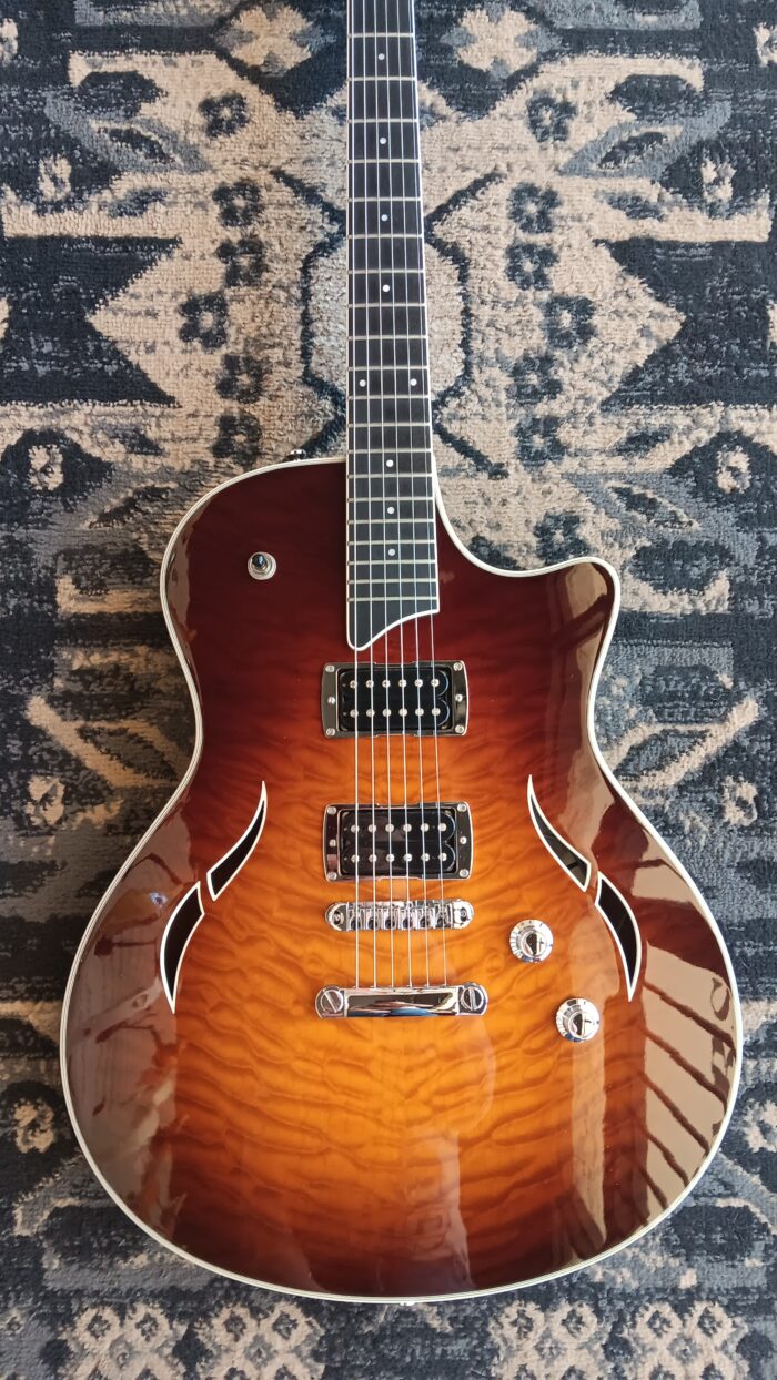 2009 Taylor T3 - Image 7